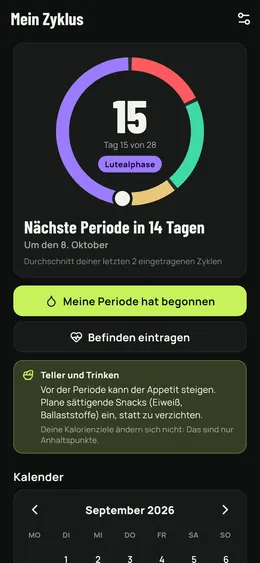 Zyklustag, Phase und nächste Periode