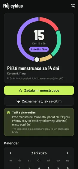 Den cyklu, fáze a příští menstruace