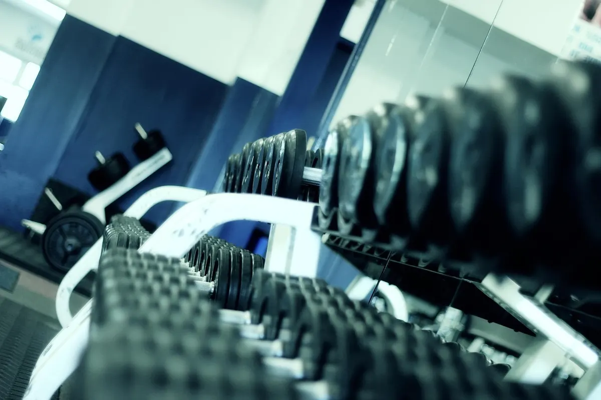 Manubri allineati in una palestra